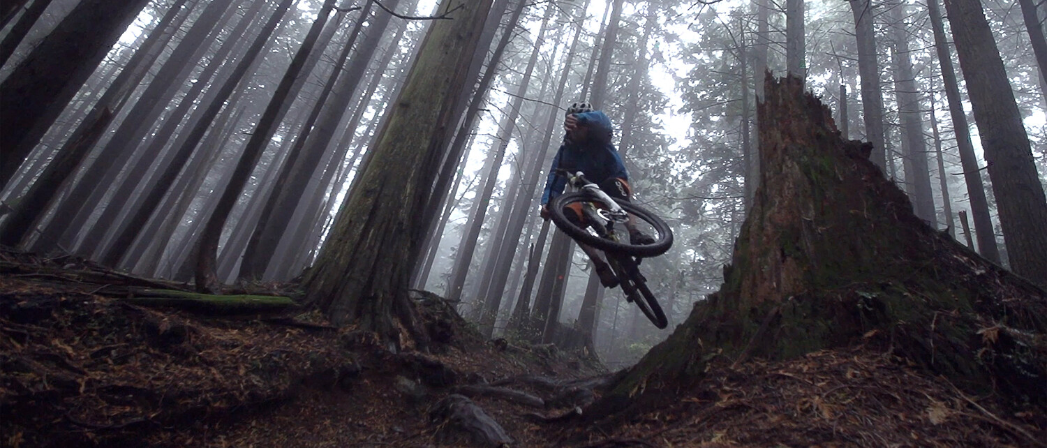 Mountainbiker springt über einen Baumstumpf in einem nebligen Wald, umgeben von hohen Bäumen.